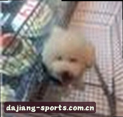 李浩